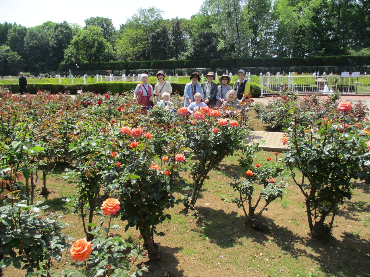 神代植物公園ツアー 練馬区 老人ホーム ホームブログ シルバーシティ石神井 南館 太平洋シルバーサービス